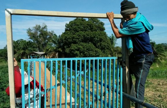 Pengakuan Siswa dan Petani: Lewat Jembatan Gratis