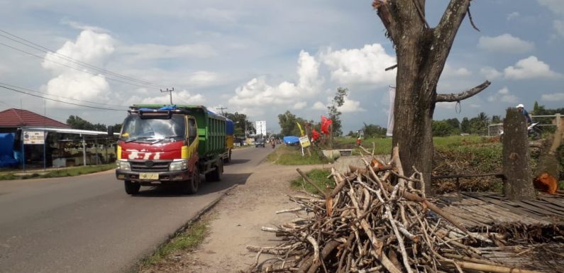 Diduga Tebangi Pohon dan di Jual, Masyarakat Seputihraman Resah Dengan Tindakan Camat
