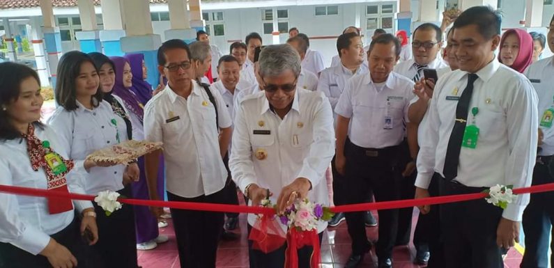 Layanan Baru, Bupati Loekman Resmikan Unit Hemodialisa RSUD DSR