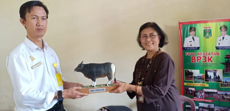 Upsus Siwab Terbesar se-Sumatera, Kepala BBIB Singosari Kunjungi Lamteng