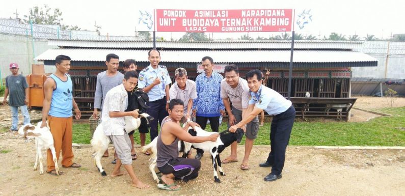 Sukseskan Revitalisasi Pemasyarakatan, Lapas Gunung Sugih Terima Hibah 11 Ekor Kambing dari Pemda Lampung Tengah