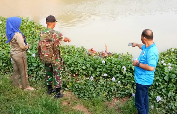Bocah 7 Tahun Yang Hilang Misterius, Ditemukan Warga Mengambang Dikali Way Pengubuan