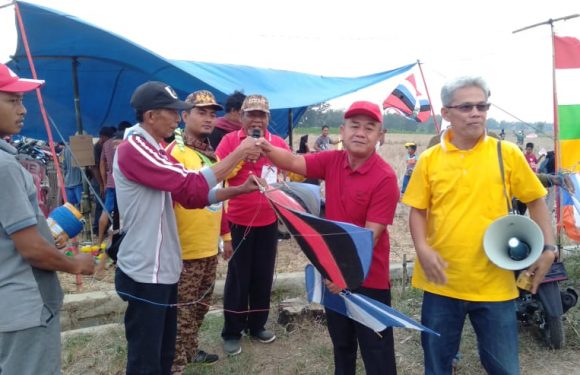 Menyonsong Musim Tanam, Warga Purwoadi Gelar Lomba Layang-Layang