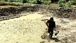 Kemarau, Produksi Ikan Menurun  Harga Melonjak