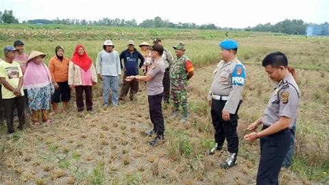 Polsek Seputihbanyak Imbau Petani Hindari Pembakaran Limbah Sisa Panen!