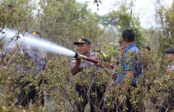 Diduga Akibat Puntung Rokok, Lahan Depan Samsat Lamteng Terbakar