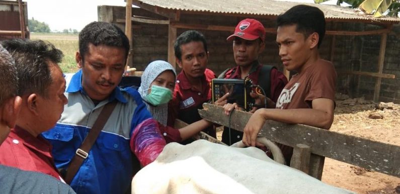 Peserta Antusias Ikuti Pelatihan ATR Disnakbun Lamteng