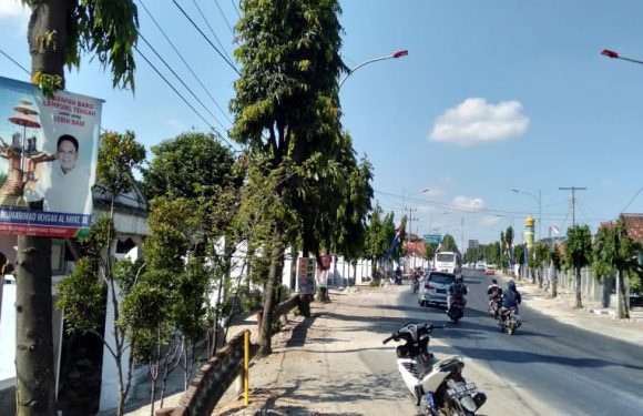 Tosa Soroti Pemasangan APK dan Poster Yang Menempel di Pohon