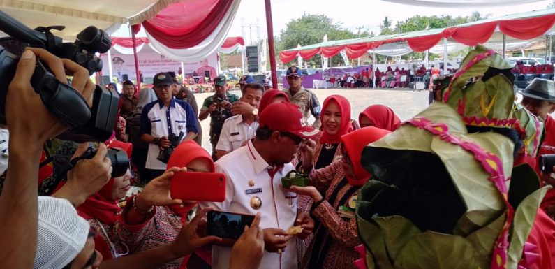 Dinas Ketahanan Pangan Lamteng Gelar Gebyar Olahan Pangan Sehat 2019