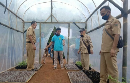 Karang Taruna Kampung Sridadi  Dirikan Sentral Pembibitan dan Bagikan Bibit Sayur-Sayuran