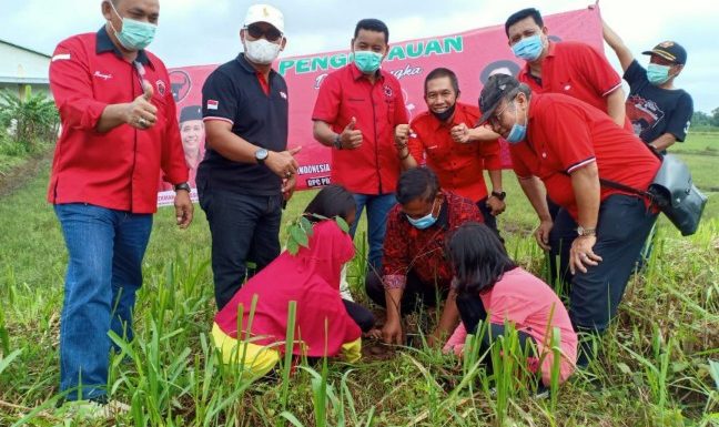 HUT ke 48 PDI Perjuangan, Tanam Pohon Perbaiki Bumi Lamteng