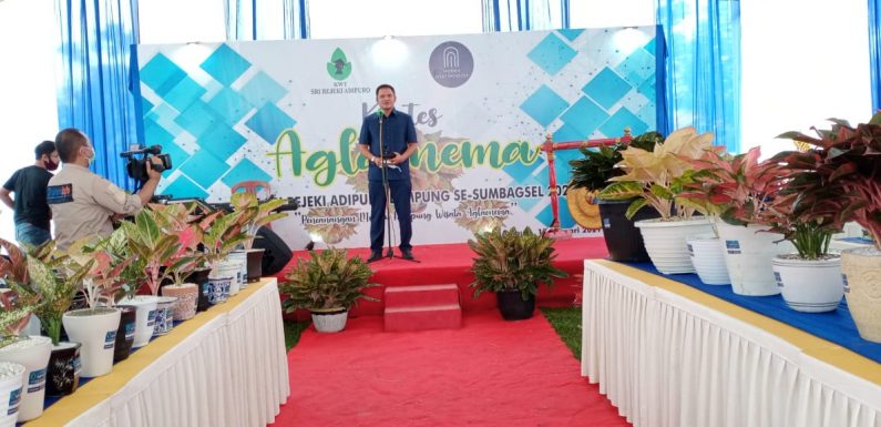 200 Peserta Ramaikan Kontes Aglaonema, Tosa; akan Ada Event Lebih Besar