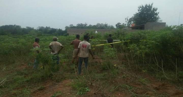 Tengkorak Manusia Ditemukan Warga Terbanggibesar di Kebun Singkong