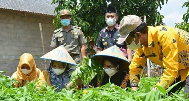 Lampung Tengah Ditunjuk Sebagai Narasumber Nasional Dalam Percepatan Penurunan Stunting