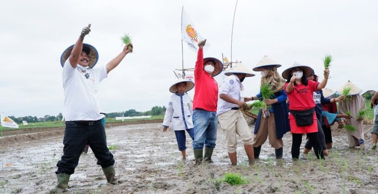 Sumarsono akan Adopsi Festival Tanam Mina Padi Metro di Lamteng