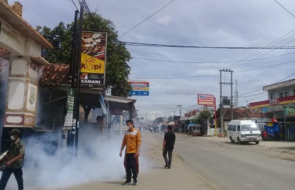 Tercatat 11 Kasus DBD, Ini Upaya Puskesmas Kalirejo