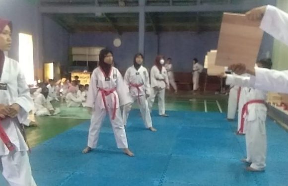 Ini Curhatan Taekwondoin Lamteng yang Kecewa karena Tak Bisa Ikut Ujian Naik Tingkat