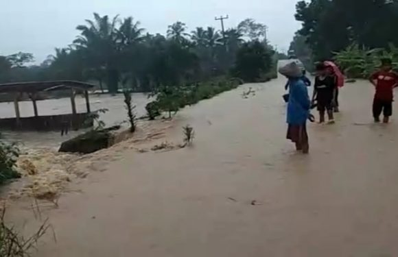 Puluhan Ton Ikan Hanyut Terbawa Luapan Air Di Kalirejo