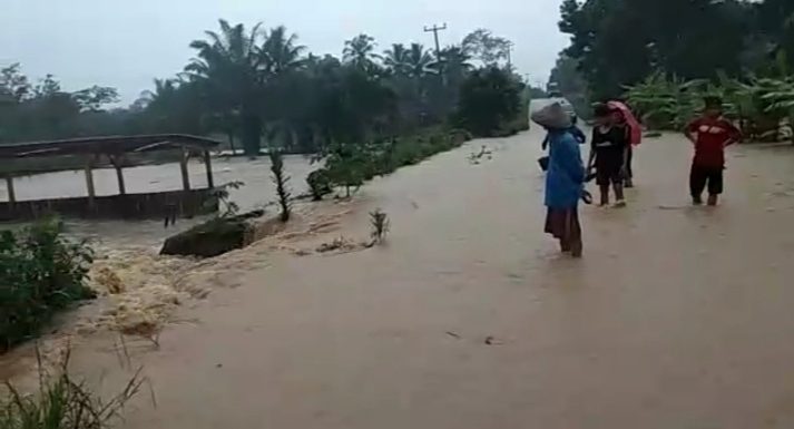 Puluhan Ton Ikan Hanyut Terbawa Luapan Air Di Kalirejo