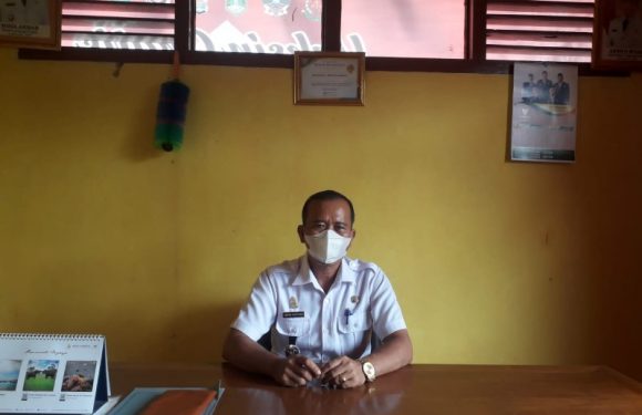 Target Swasembada Pangan, Camat Gerakkan Petani Segera Terjun ke Sawah