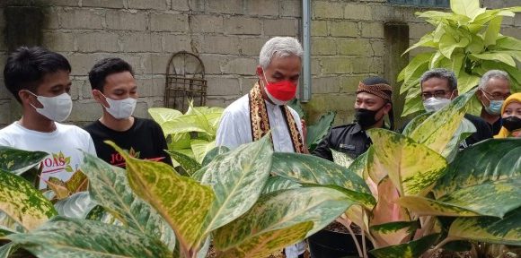 Ketum Kagama Ganjar Pranowo Ajak KWT Liman Benawi Belajar Teknologi Pertanian di Jateng