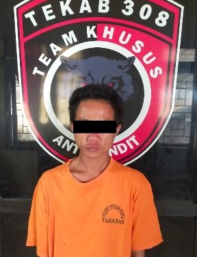 Buron 4 Bulan, Pencuri Hp Modus Bobol Rumah, Ditangkap Polisi
