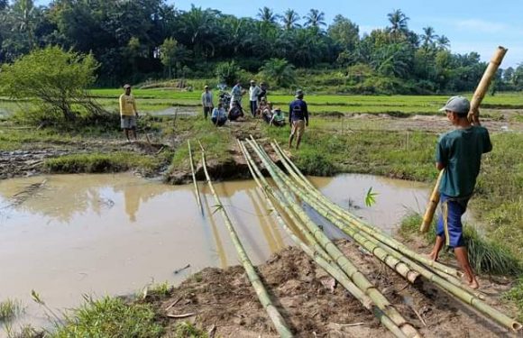 Jalan Alternatif Penghubung Kampung Sridadi – Sripurnomo Terputus