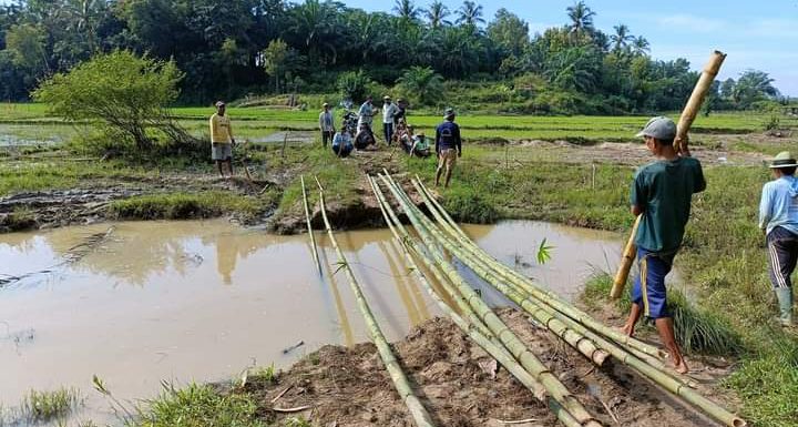 Jalan Alternatif Penghubung Kampung Sridadi – Sripurnomo Terputus
