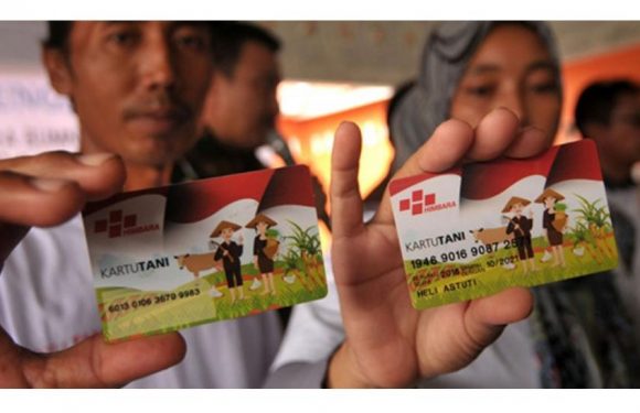 Disway: Ulang Tahun