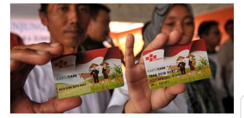 Disway: Ulang Tahun