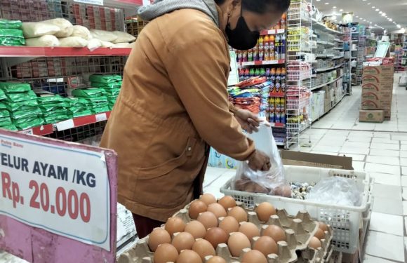 Harga Telur Ayam di Bandarjaya Turun