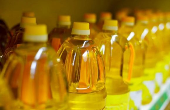 Minyak Goreng Langka di Lampung Tengah, Tembus Rp20 Ribu per Liter