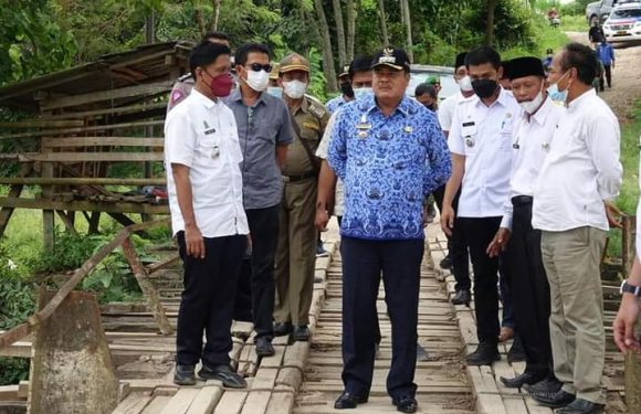 Bupati Musa Ahmad Tinjau Jembatan Penghubung Seputihagung-Way Pengubuan