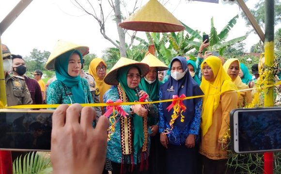 Mardiana Musa Ahmad Resmikan Hidroponik Park dan Agro Edukasi di Kampung Sulusuban