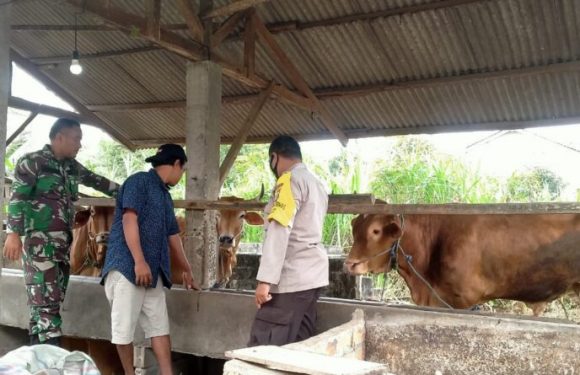Polres Lamteng Sinergi Dampingi Upaya Pencegahan PMK
