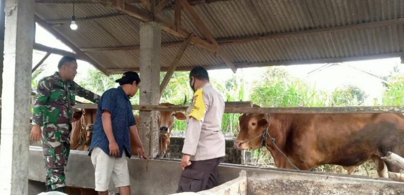 Polres Lamteng Sinergi Dampingi Upaya Pencegahan PMK