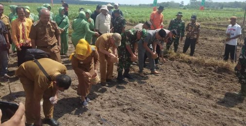 Manfaatkan Lahan Tidur Dukung Ketahanan Pangan, Dandim 0411/KM Tanam Jagung di Rumbia