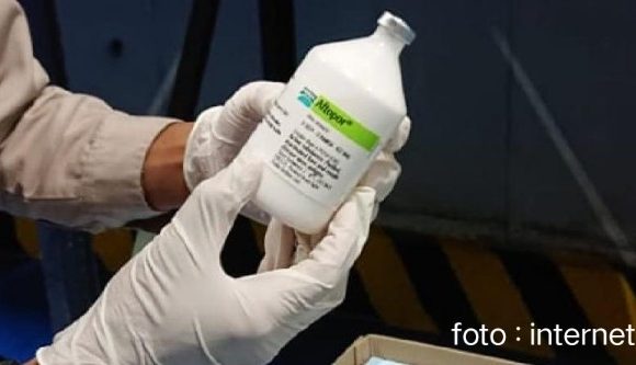 Vaksinasi PMK Hewan Ternak, Lamteng Butuh 2,1 Juta Dosis