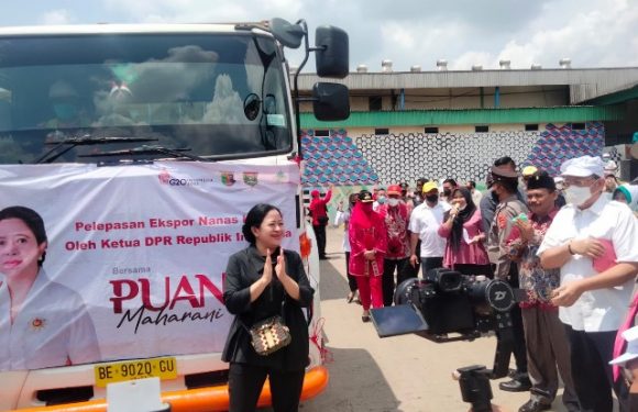 Ketua DPR RI Puan Maharani Lakukan Pelepasan Ekspor Nanas Kaleng di PT GGF