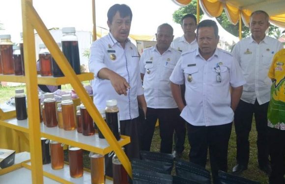 Promosikan Produk IKM Lamteng Melalui Pameran