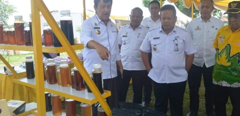 Promosikan Produk IKM Lamteng Melalui Pameran