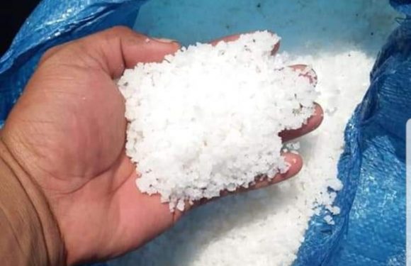 Harga Garam Krosok Melonjak, Peternak Sapi Terdampak