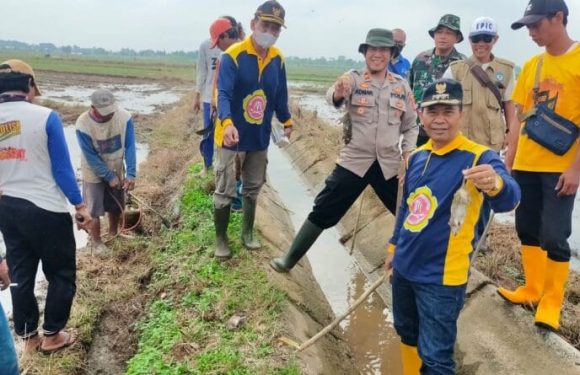 Respon Keluhan Petani, Kapolsek Seputihraman Pimpin Gropyokan Tikus
