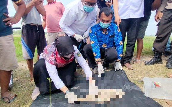 Miris, Bayi Baru Lahir Dibuang di Irigasi Seputihbanyak, Kondisinya Mengenaskan