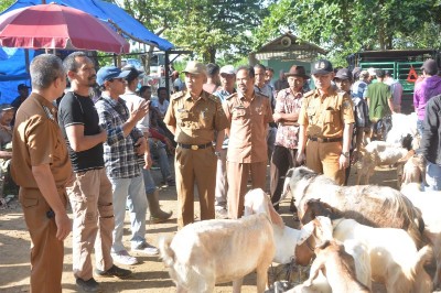 Jelang Idul Adha, Bupati Lamteng Musa Ahmad Lakukan Monev ke Pasar Kampung dan Kandang Sapi