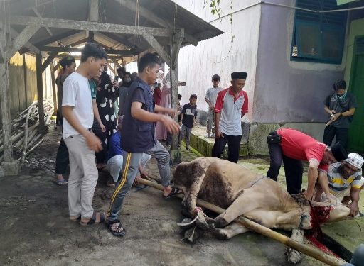 SMK YPI Seputih Mataram Sembelih Hewan Kurban