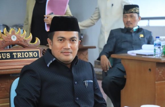 Jalan Rusak Gegara Kendaraan ODOL, Anggota DPRD Lamteng akan Usulkan Raperda Portal Jalan