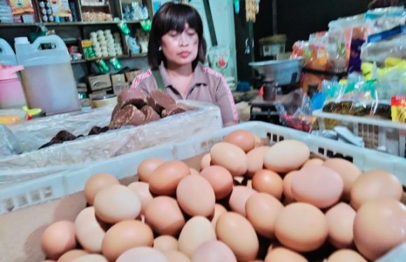 Harga Telur Masih Stabil di Pasar Modern Bandarjaya Plaza dan Pasar Kampung
