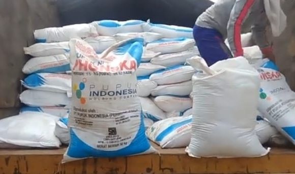 Begini Prosedur Penyaluran Pupuk Bersubsidi di Lampung Tengah