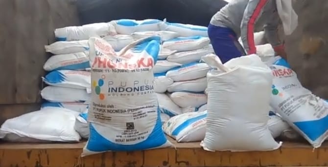 Begini Prosedur Penyaluran Pupuk Bersubsidi di Lampung Tengah